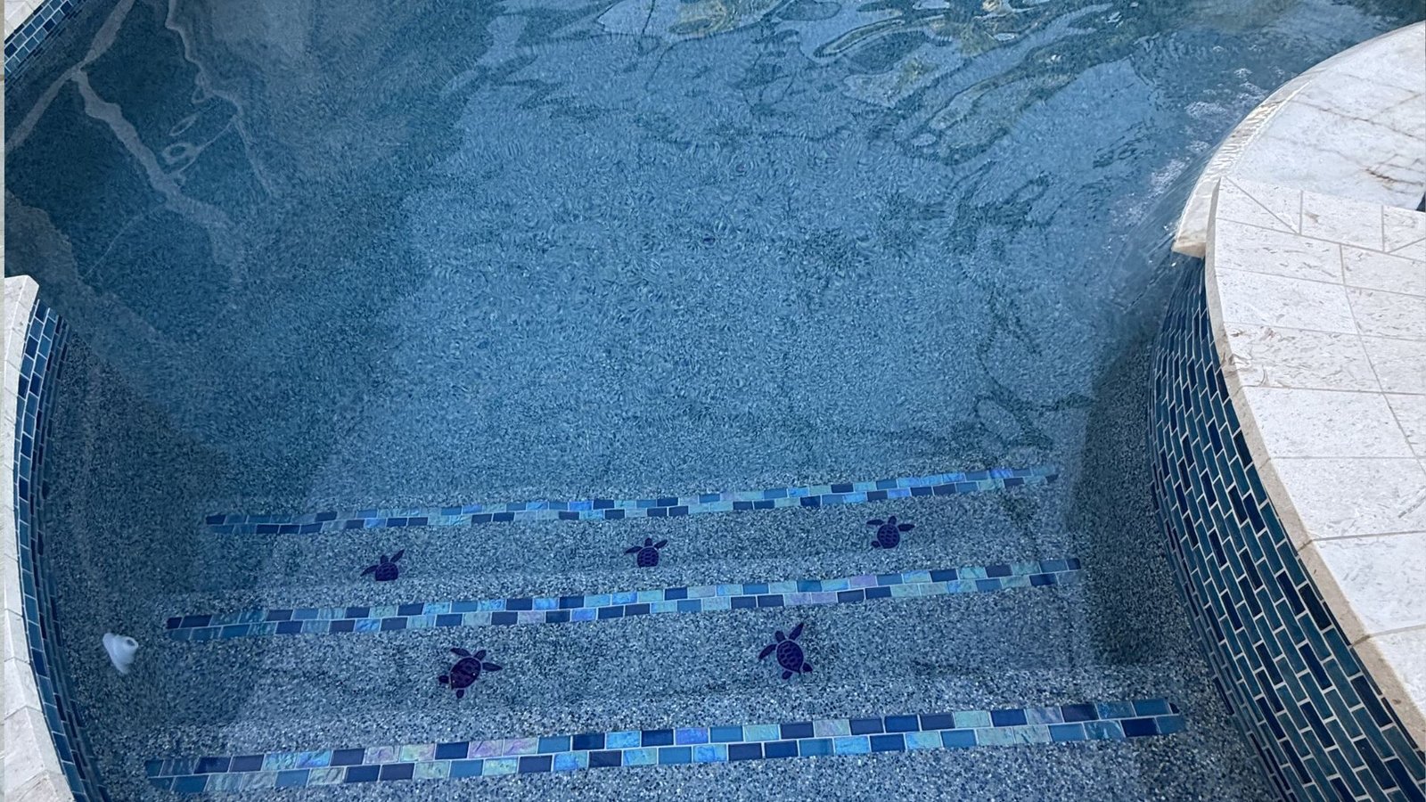 Luxury pool build